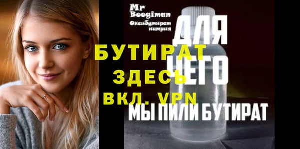 шишки Надым