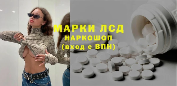 шишки Надым