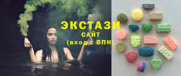 шишки Надым