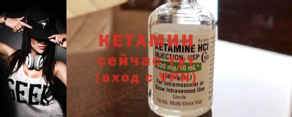 шишки Надым