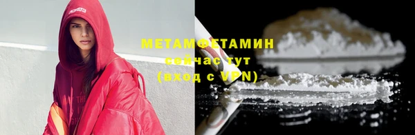 шишки Надым