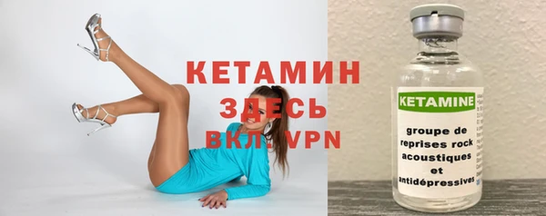 шишки Надым