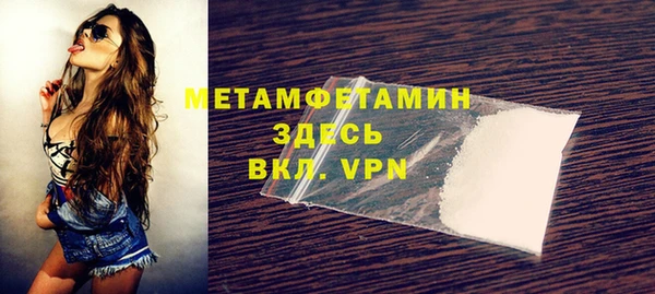 шишки Надым