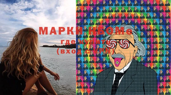шишки Надым