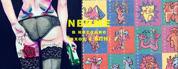 шишки Надым