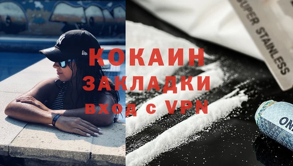 шишки Надым