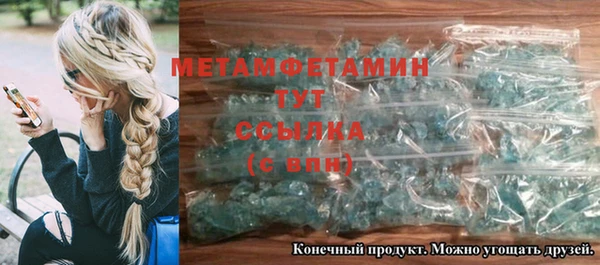 шишки Надым