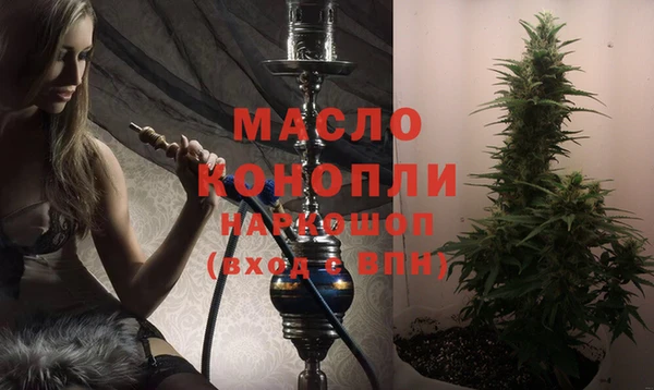 шишки Надым