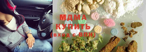 шишки Надым