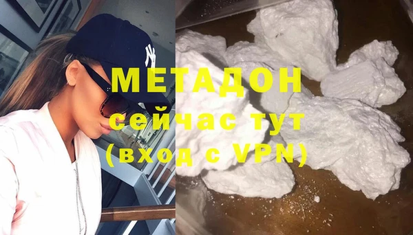 шишки Надым