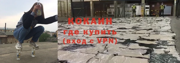 шишки Надым