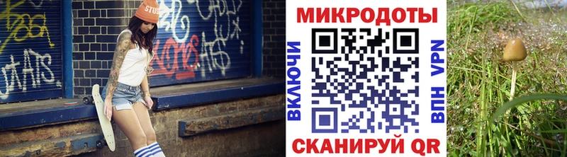 darknet телеграм  Починок  Галлюциногенные грибы Cubensis  как найти закладки 